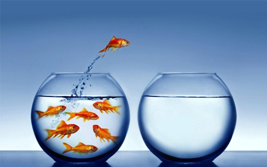 entrepreneur therapeute professionnel