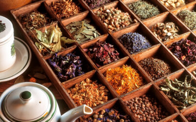 Perdez du poids grâce aux tisanes