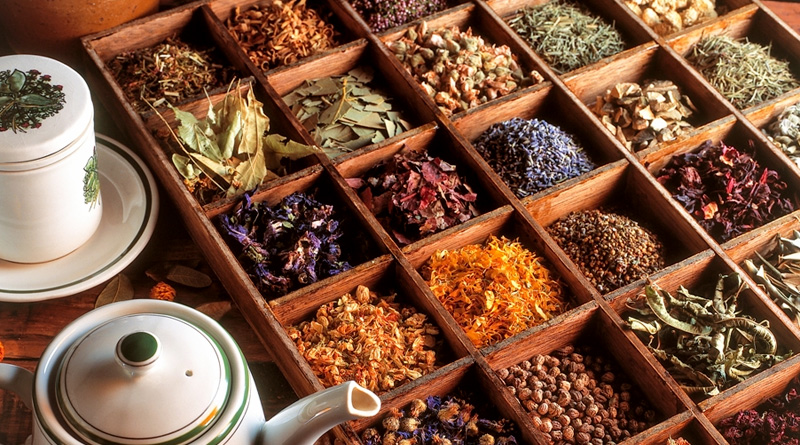 tisanes perte poids therapeutes france