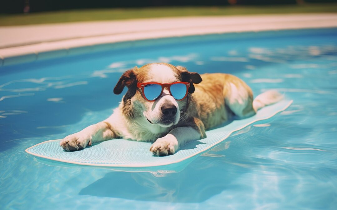 therapeutes france hydrotherapie