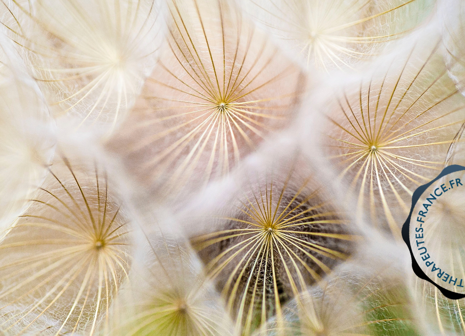 S&eacute;ance &agrave; distance
